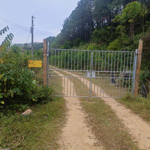 鸡山水库