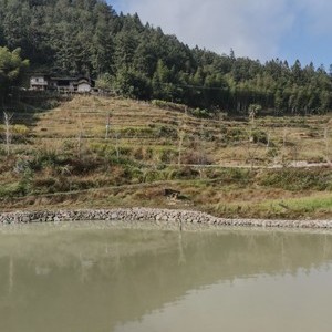 悠悠休闲钓鱼山庄