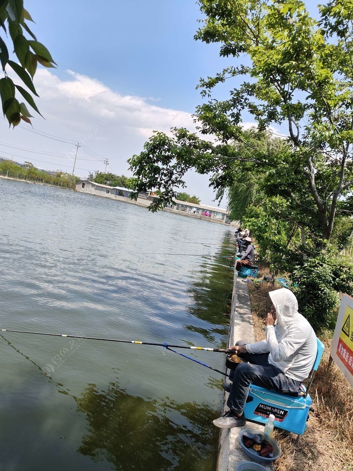 禾荞村七号休闲钓塘