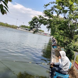 禾荞村七号休闲钓塘天气预报