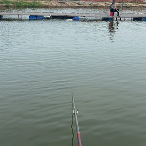 嘉善永乐钓场天气预报