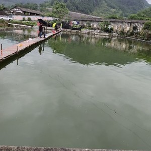 田生钓鱼场