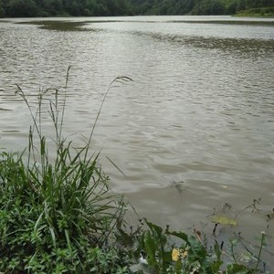 龙川江
