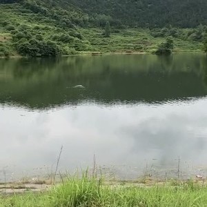 汪冲水库垂钓中心