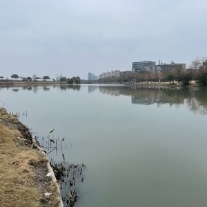 六灶港河