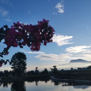 峨眉山市月儿塘鱼庄