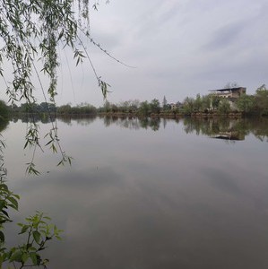 唐家湖湿地公园