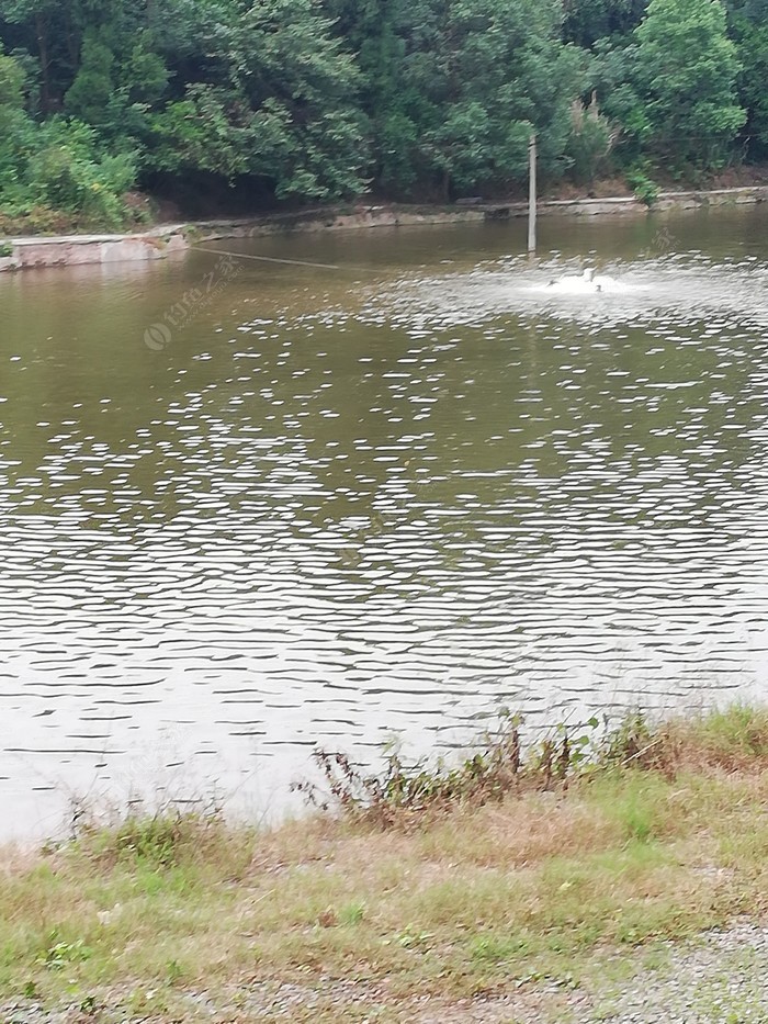 幸福村钓场