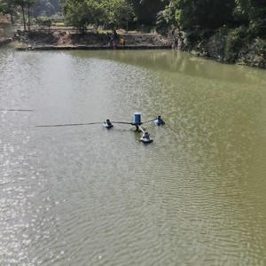 沙田水库钓场