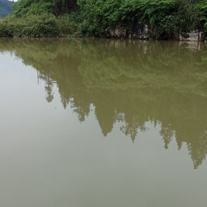 凉江河