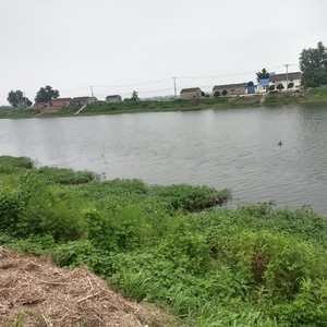 姑溪河支流