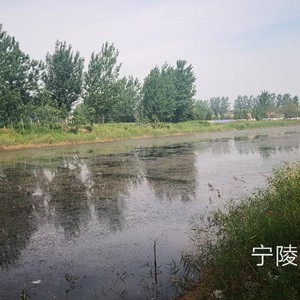 西沙河