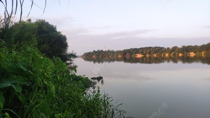 流溪河李溪坝上游菜地 