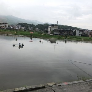 旺寨钓鱼场