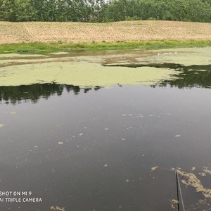 蔡河沈寨段