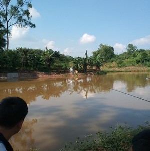 泸州石洞生态鱼塘