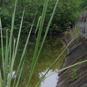 回龙观村生态钓鱼场