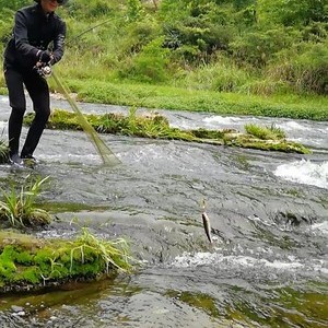 鱼箭滩河