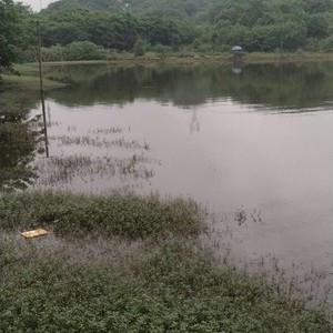 茶塘村原塘鱼垂钓