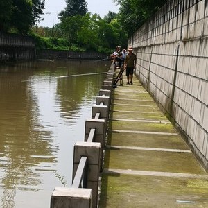 西坝文化广场流水生态钓鱼场