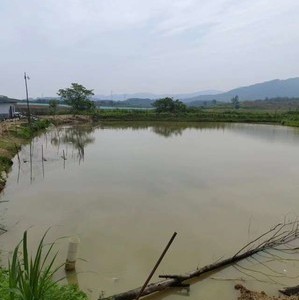 江西省赣新种子有限公司农民老秦钓场