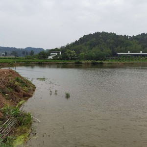 万云休闲钓场