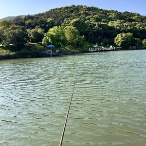 龙寺钓鱼场垂钓中心