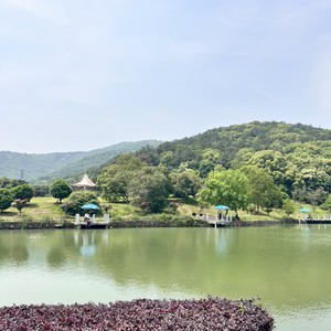 龙寺钓鱼场垂钓中心