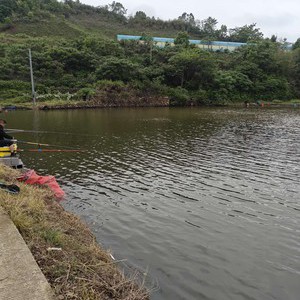 大屋湾休闲钓场