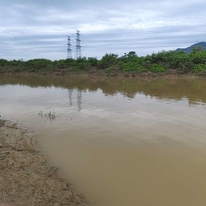 琶江河天气预报