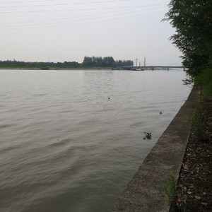 望虞河