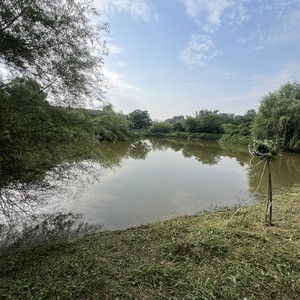 香村园林钓场