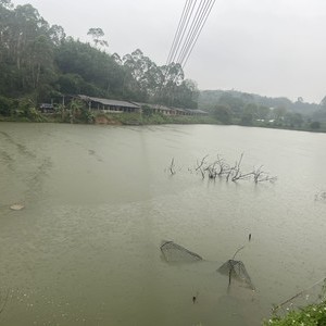 上冠带天气预报