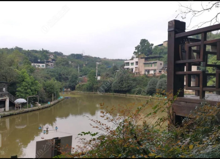 泉湖山庄垂钓