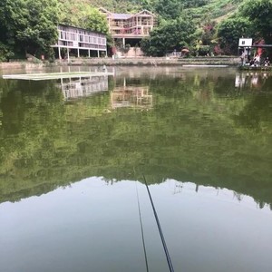 泉湖山庄垂钓