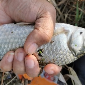 小润河