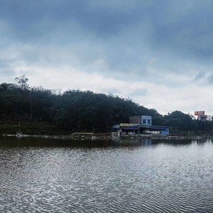 柳家沟兄弟钓场