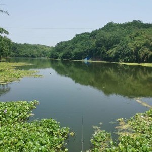 青山水库