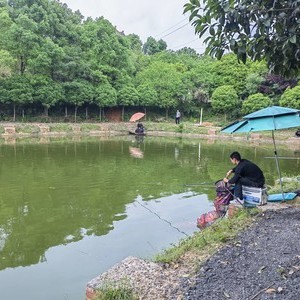 西湖休闲垂钓园