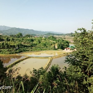 春平垂钓基地