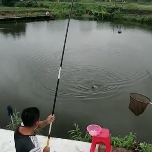 水头华南钓场