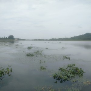 上枫水库