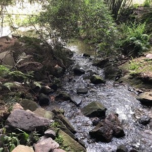 重庆野河沟钓场