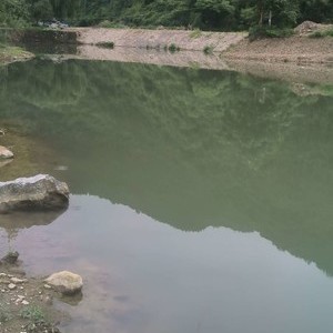 南宅钓场天气预报