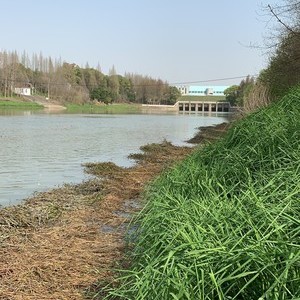 田关河