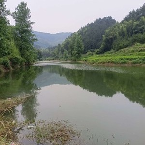 洢水河