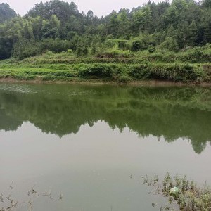 洢水河