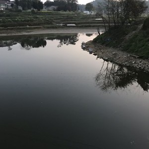 歌乐山野钓鱼场