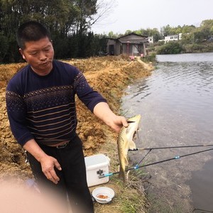 群丰石塘钓场