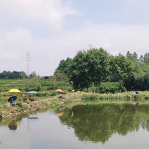 新塘角休闲钓场